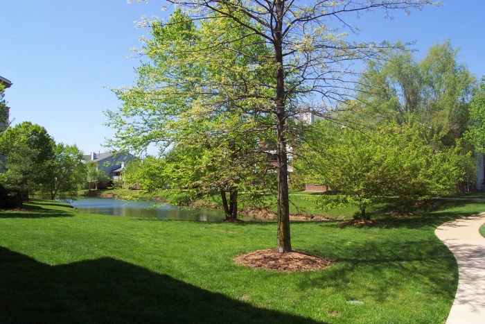 Une vue du jardin qu'il y a au milieu des apparts, avec le p'tit bout d'lac.