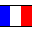 Resume in french